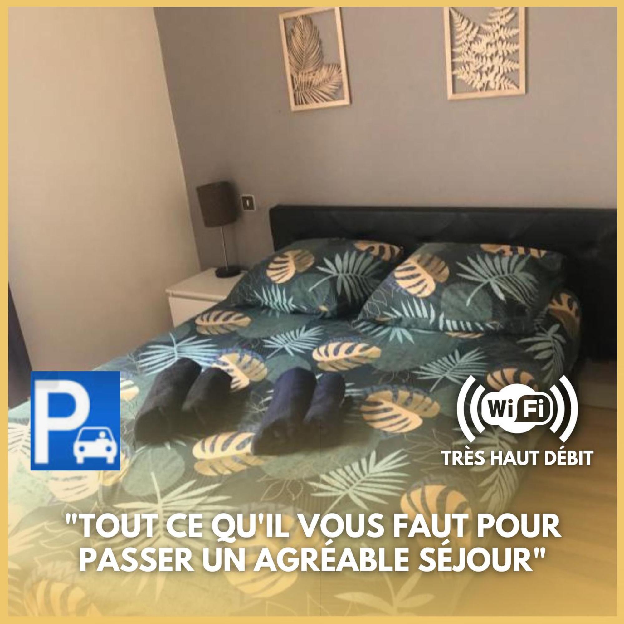 Appartamento Le Gambetta T2 Cosy Hypercentre Wifi Fibre Avec Parking Pau Esterno foto